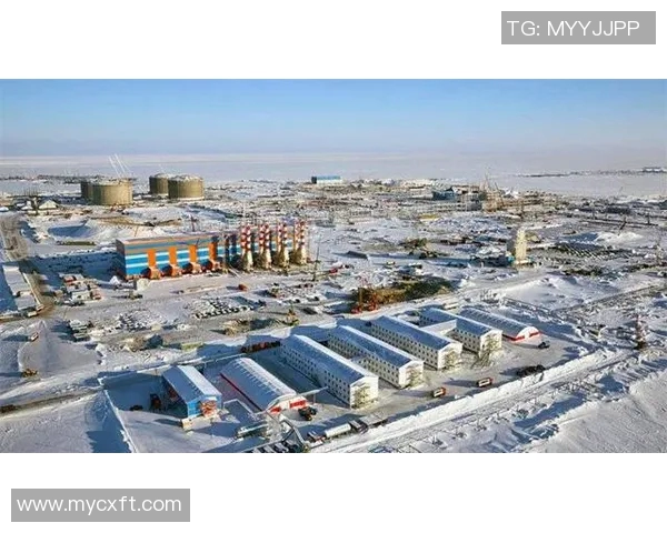 亚马尔地区的能源开发与国际合作前景分析及其对全球市场的影响